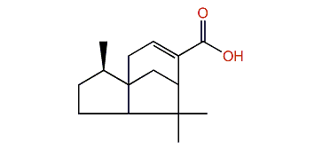 2,6,6-Trimethyltricyclo[5.3.1.0]undec-8-ene-8-carboxylic acid